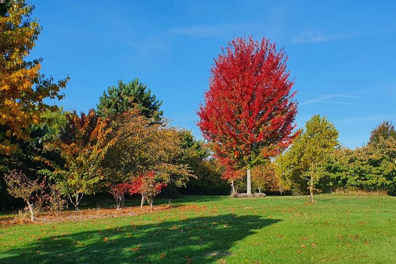 Newbury Farm Arboretum